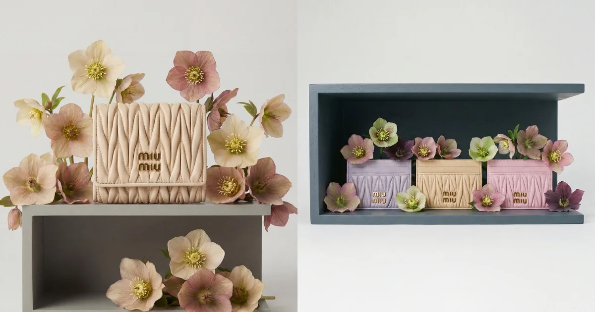 Miu Miu ミュウミュウ ホリデーシーズン　新作スモールレザーグッズ