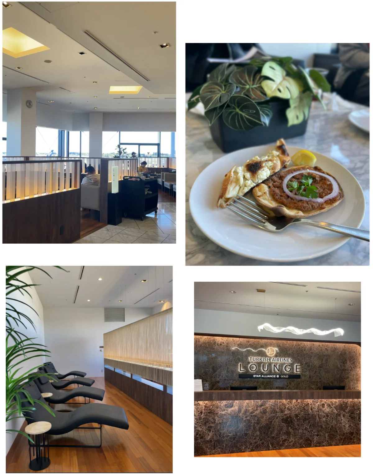 【ブダペスト開運旅】ターキッシュ エアラインズ