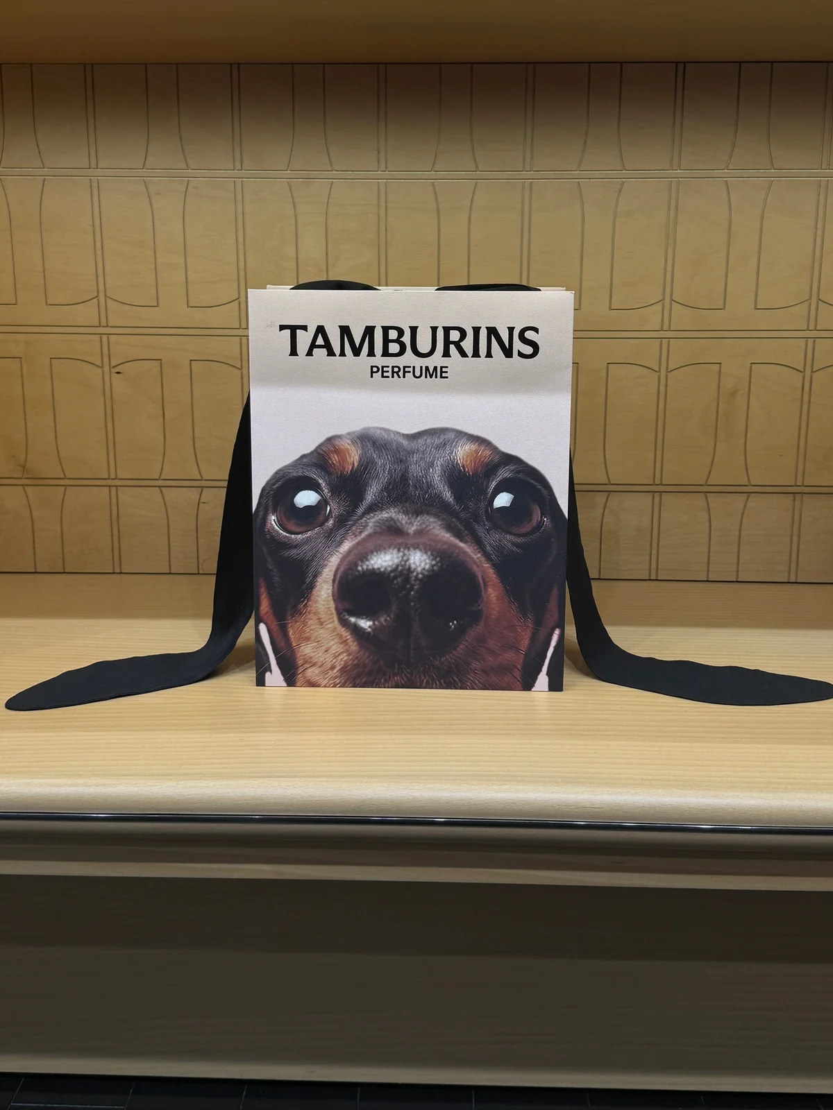 【タンバリンズ】あのワンコがやって来た!の画像_6