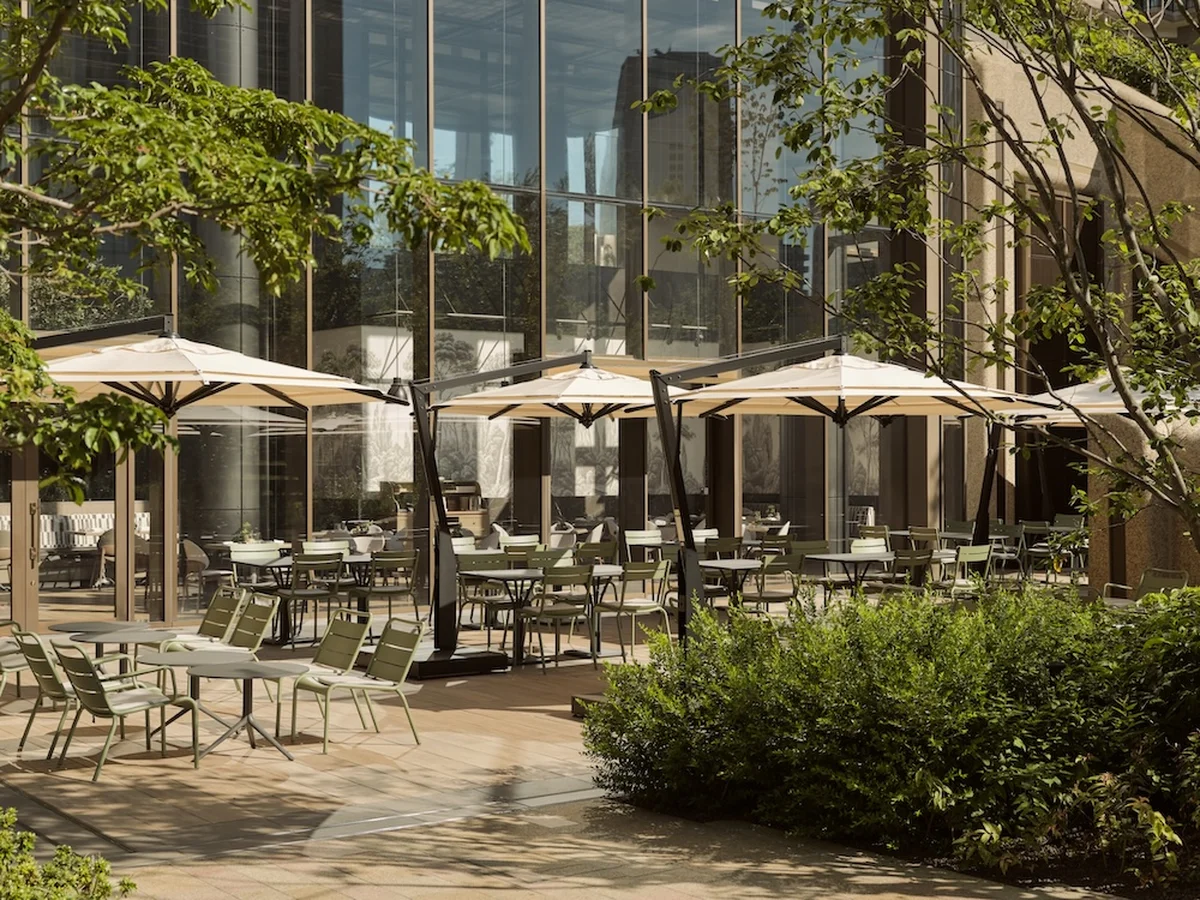 新緑の美しさや夜風の爽やかさを感じる極上の画像_9