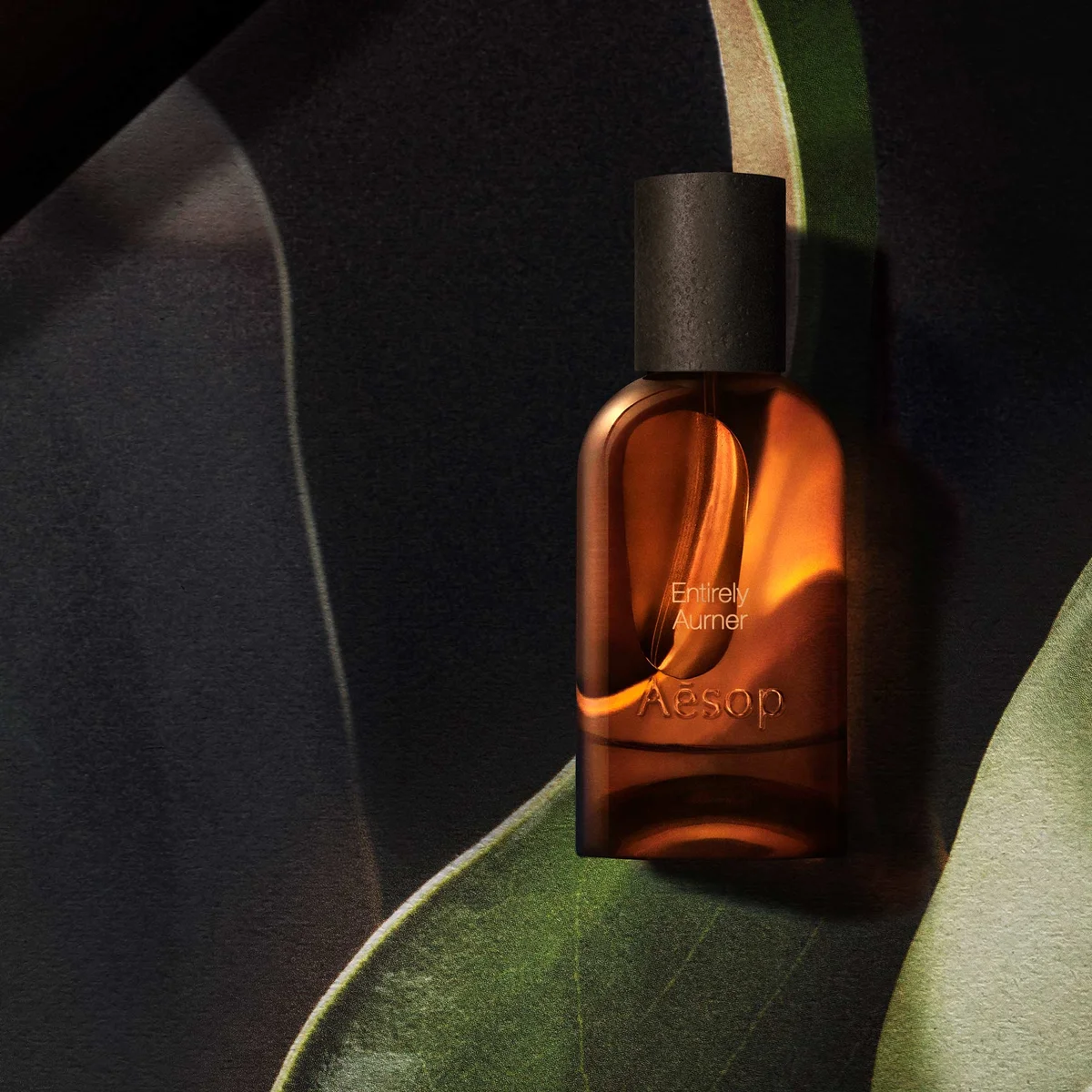 イソップ エンタイアリー オルナー オードパルファム 50ml ￥25,960〈2026年9月1日発売〉