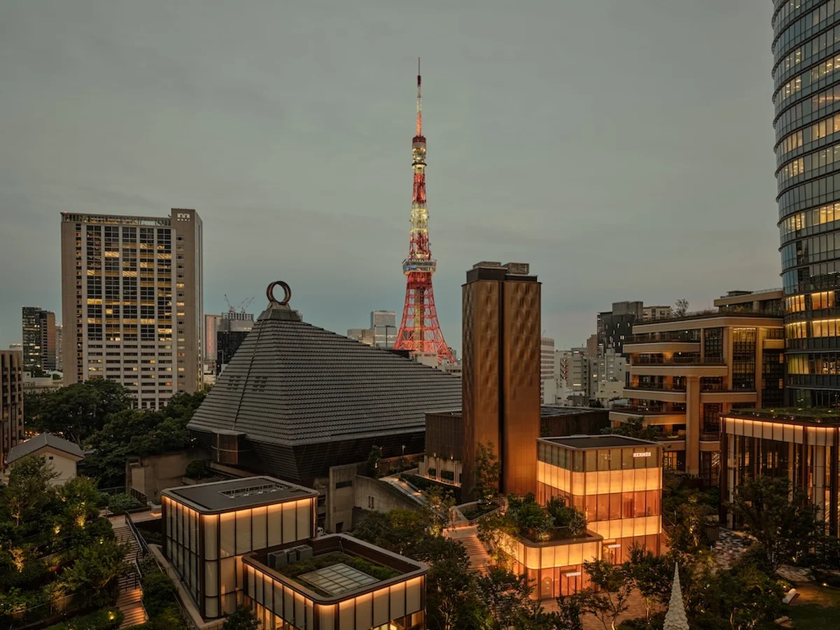 新緑の美しさや夜風の爽やかさを感じる極上の画像_5