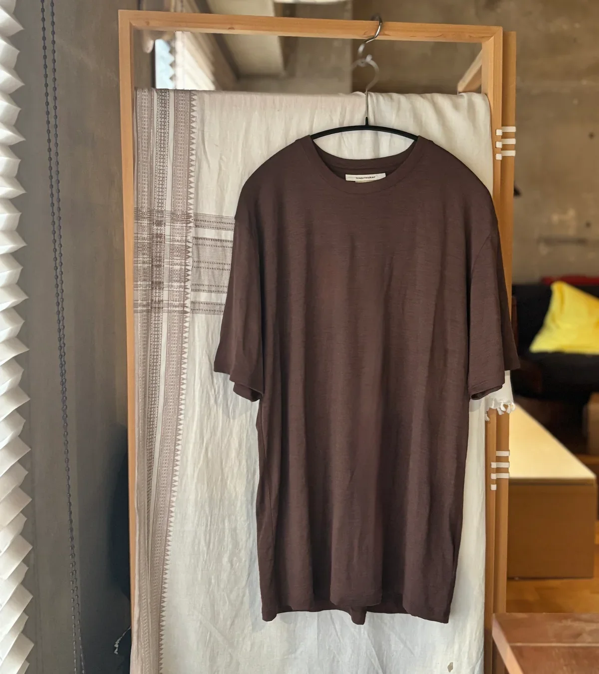 アイスブレーカーのメリノウールTシャツ