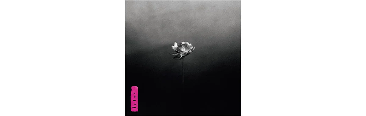 『Lotus』Little Simz