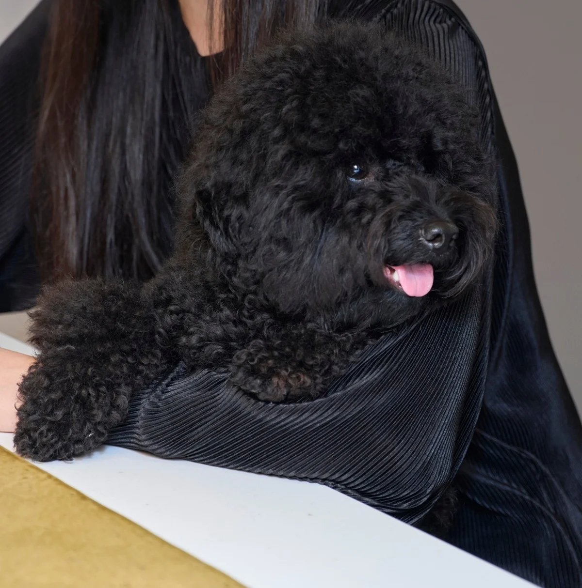 飼い始めた当初は舐められるだけで赤くかぶれたりしていたけれど、魅力に取りつかれていったそう