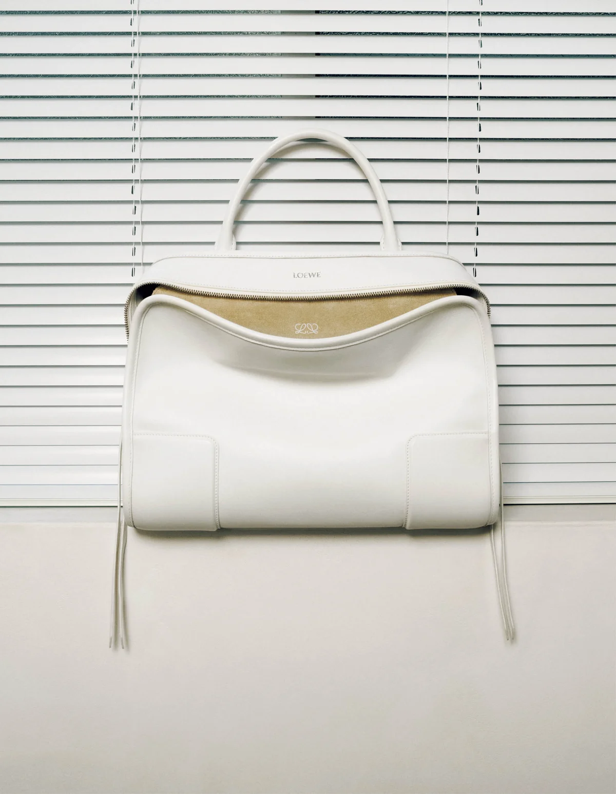 ロエベのバッグ「アマソナ180」