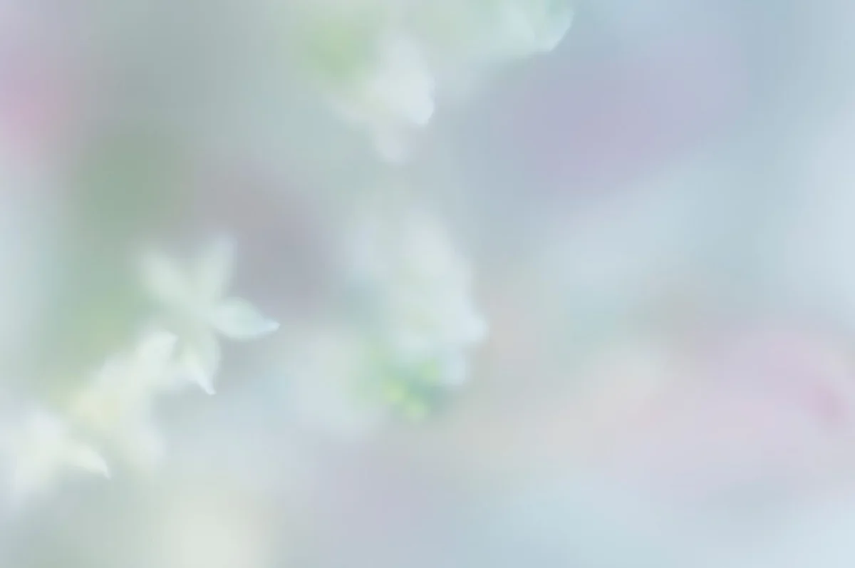 「ヘブンリーモーニング」‐夢うつつ。永遠の花々が天国のしるし。‐