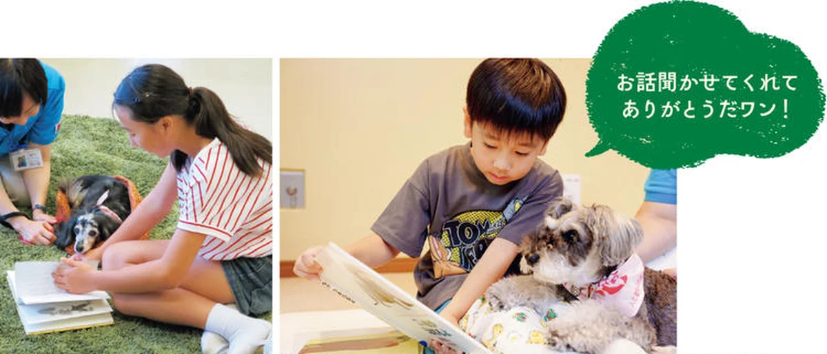 図書館にいるセラピー犬