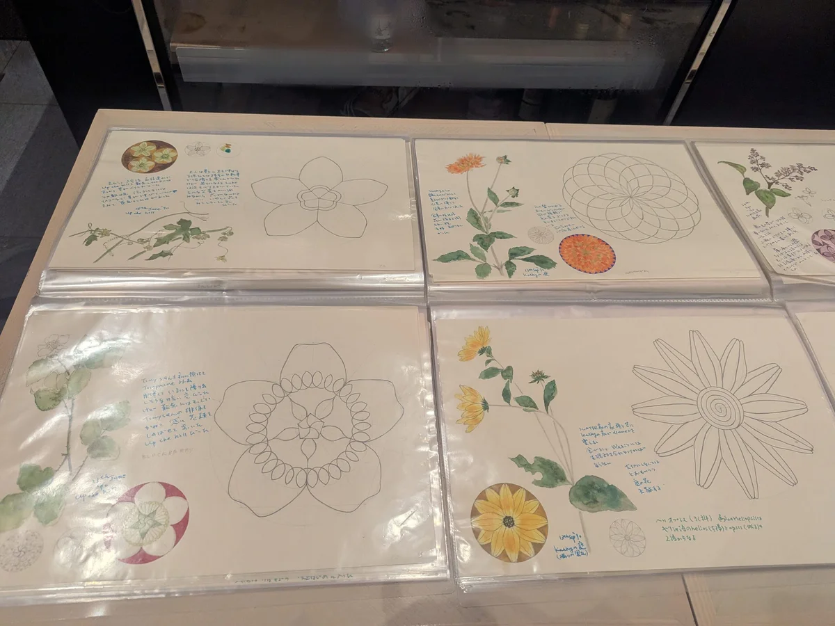 東京都庭園美術館　道念邦子　「花」のドローイング　ラフスケッチ