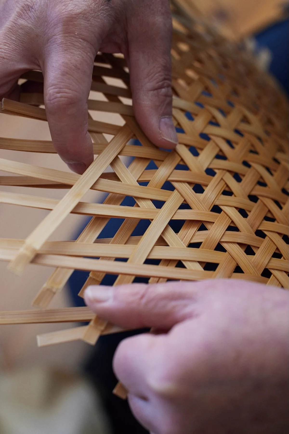 作原文子と【ビームス】が持続可能な素材、の画像_4