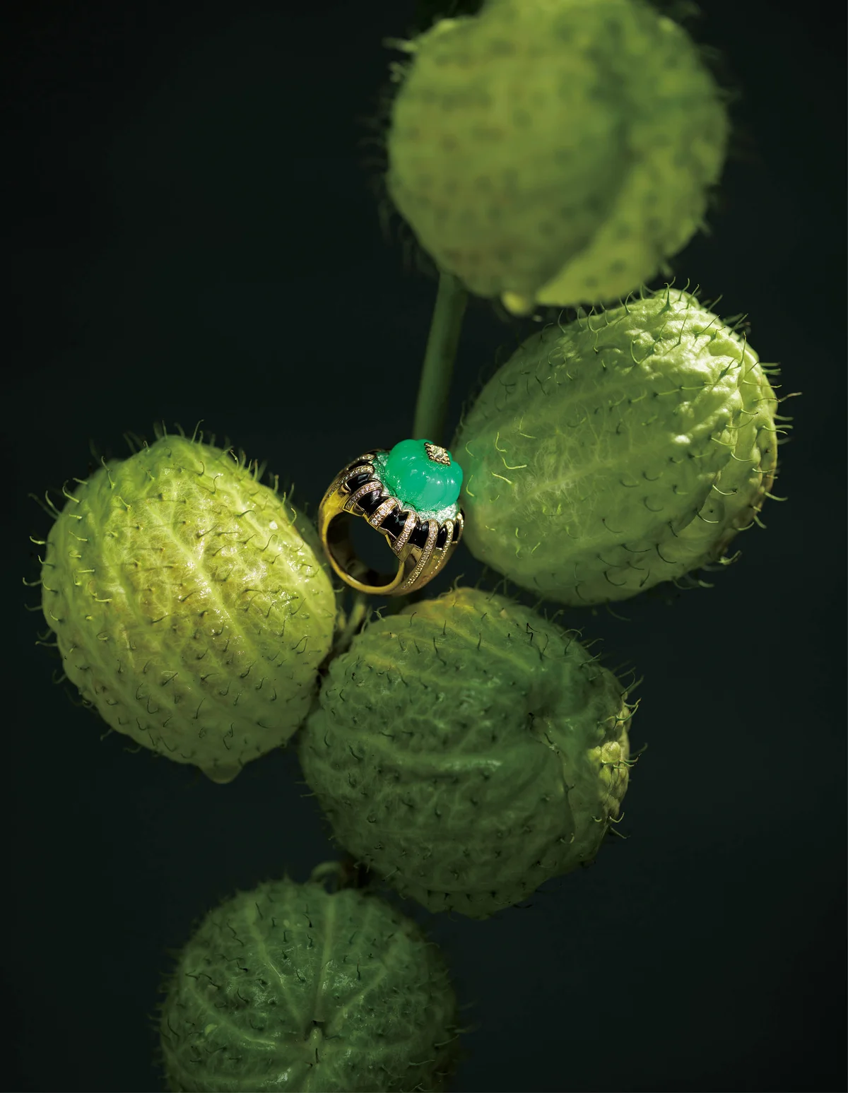 カルティエ　リング カルティエ リーブル「トゥッティトゥッティ」