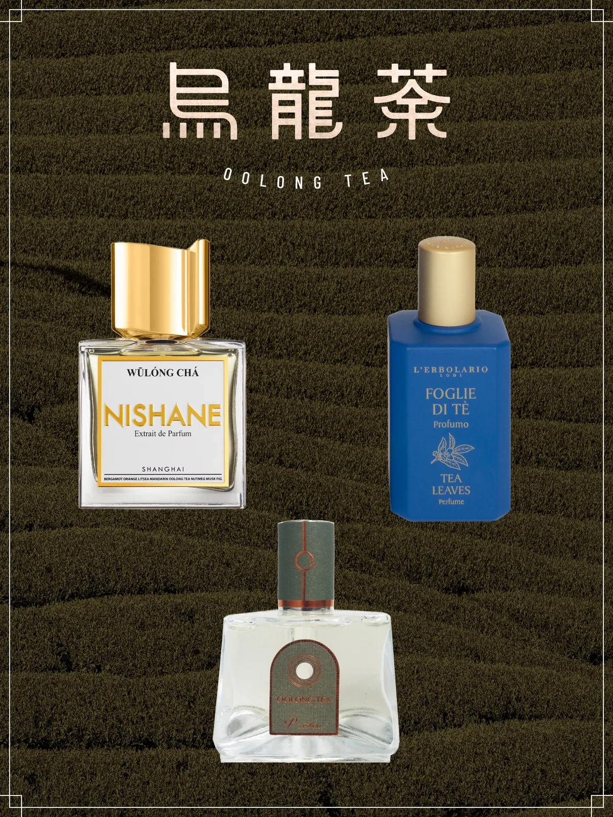 人気SALE定番Nishane Wulong Chaニシャネ　ウーロンチャ｜烏龍茶 50ml 香水(ユニセックス)