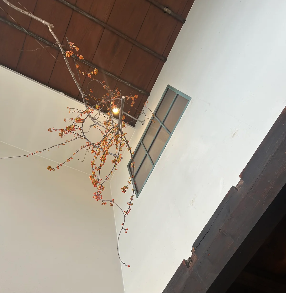 石川 金沢 旅行 ひらみぱん 店内