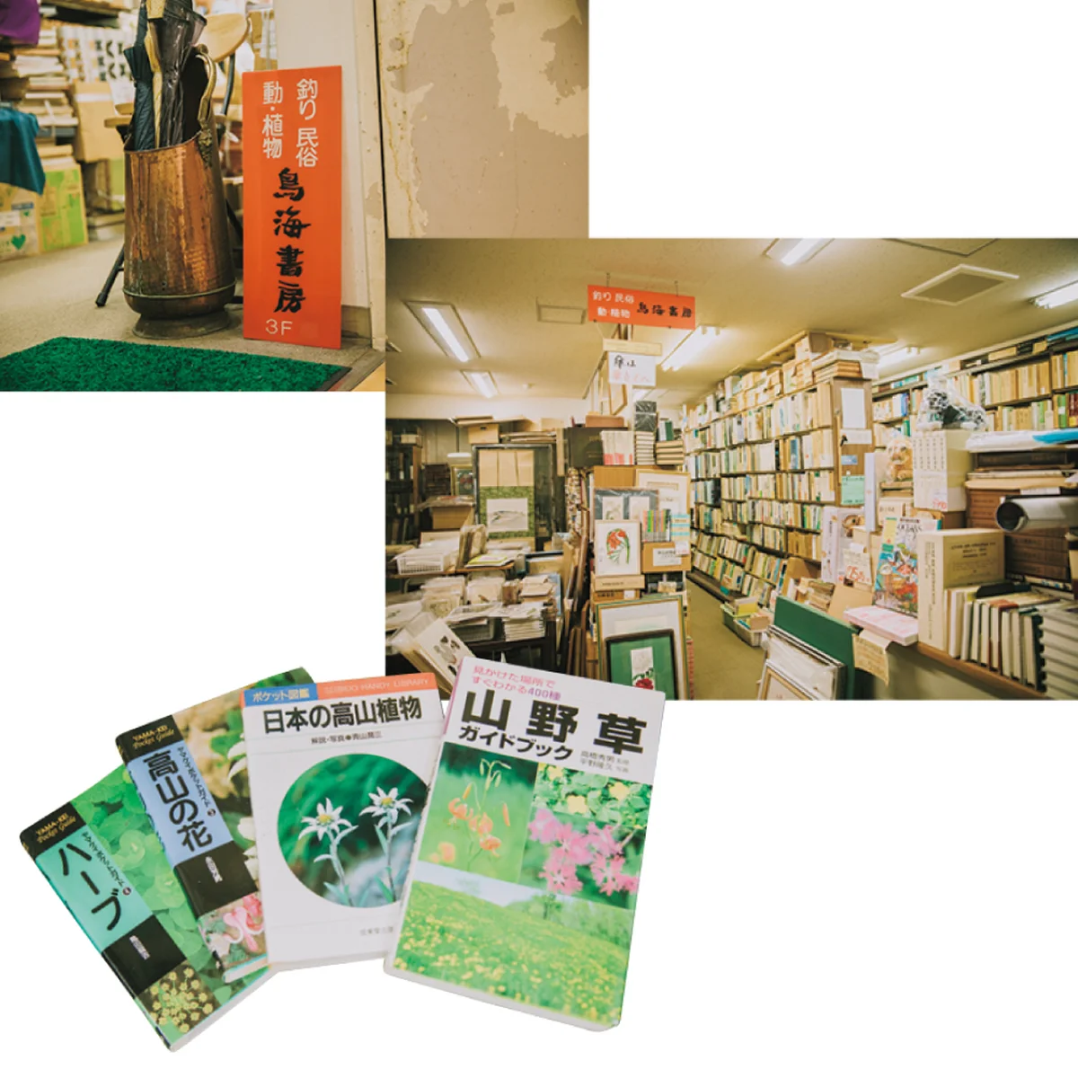鳥海書房