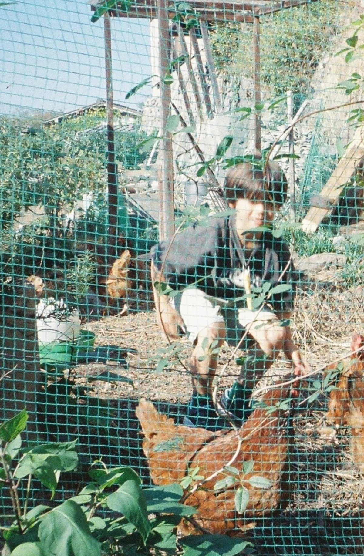 生き方や創作のヒントを再発見する【新ウェの画像_5