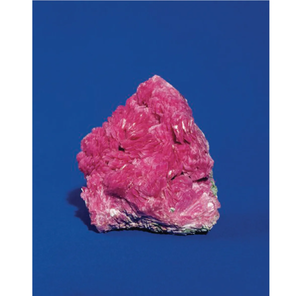 2026年のKYOTOGRAPHIEは女の画像_3