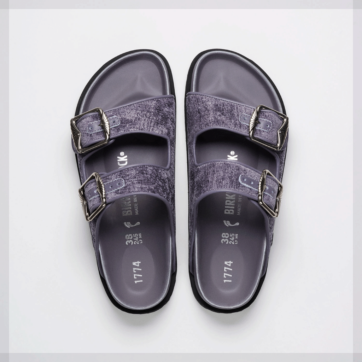 1774 アリゾナ ベルベットシューズ ビルケンシュトック