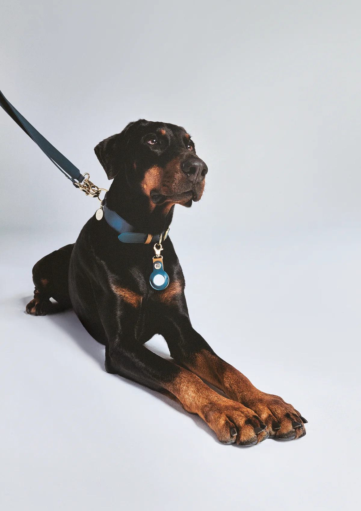 【ジョルジオ アルマーニ】と【ポルド ドの画像_2