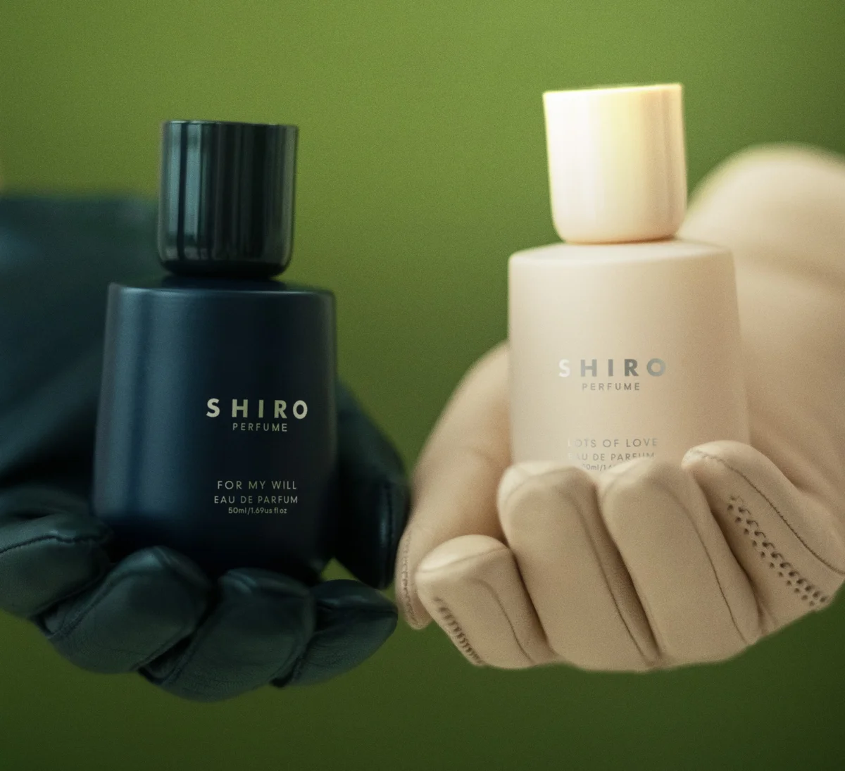 SHIRO 2025 ホリデーコレクション
