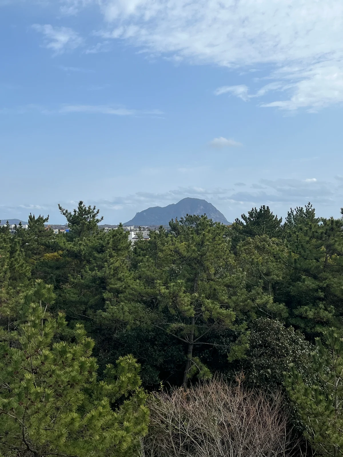 【済州島】で立ち寄りたい、ウェルネスアドの画像_15