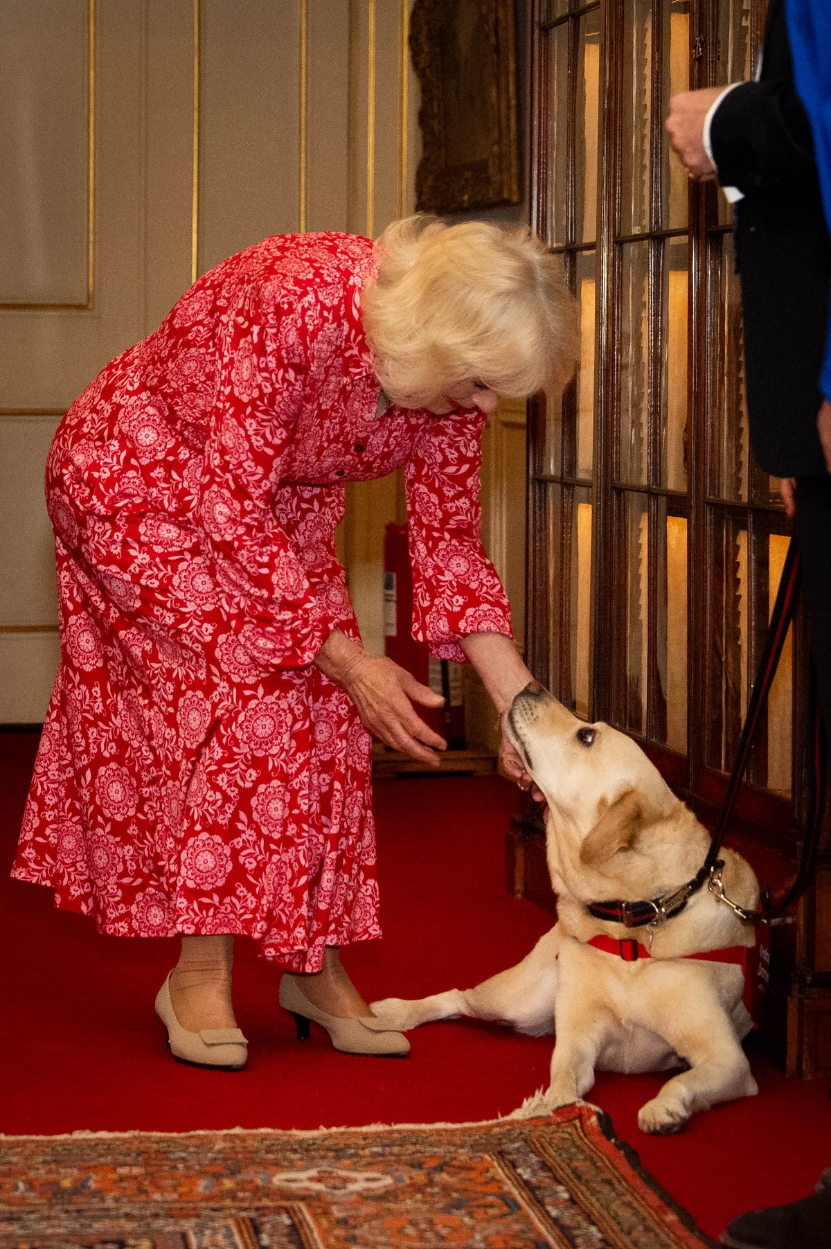 救命犬とカミラ王妃