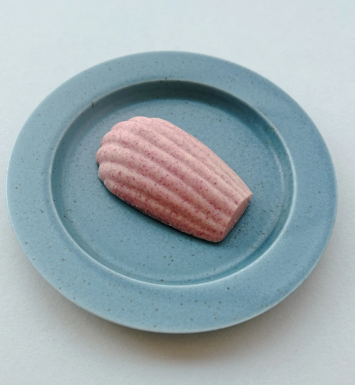 shodai bio natureのマドレーヌグラデーション。木苺のチョコレートをまとってとろけるおいしさ。
