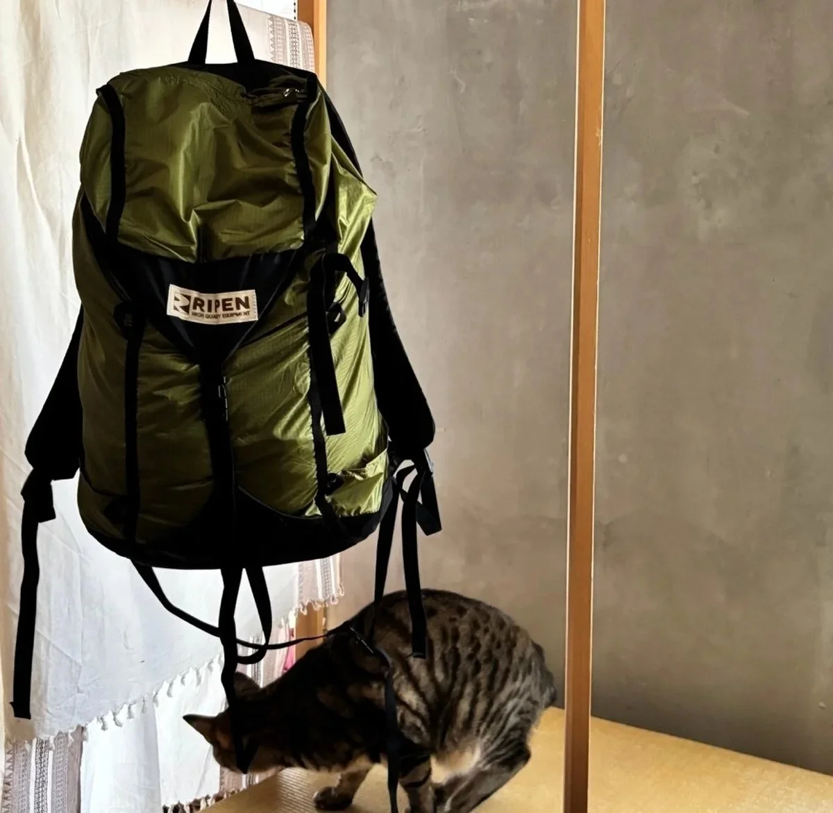 ライペンRAIZ PACK S¥8,690　アライテント　バックパック　リュックサック