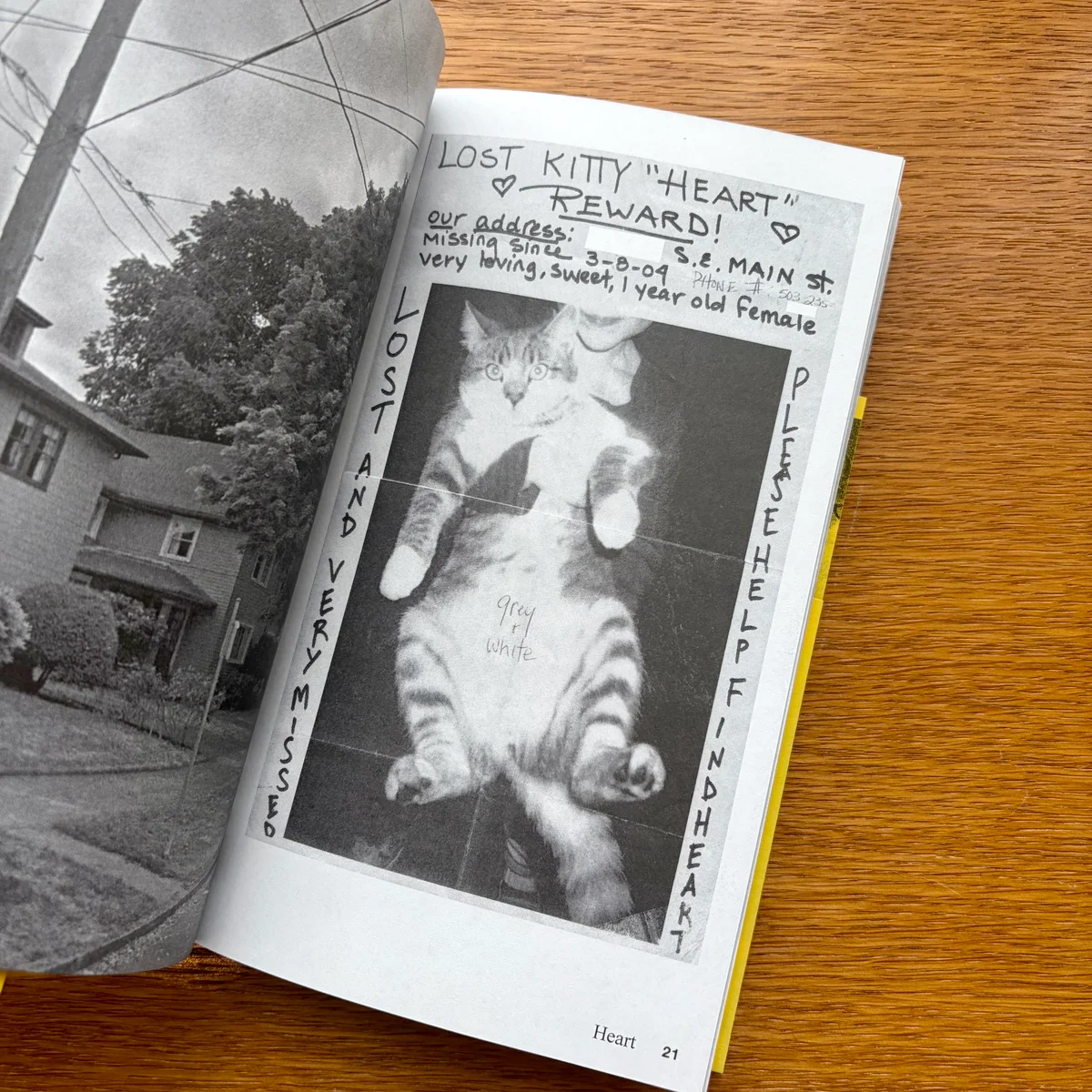 『FOUND Cats』の中ページの画像