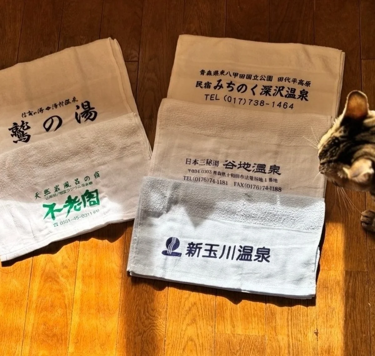 リカバリー温泉 取材先のタオル