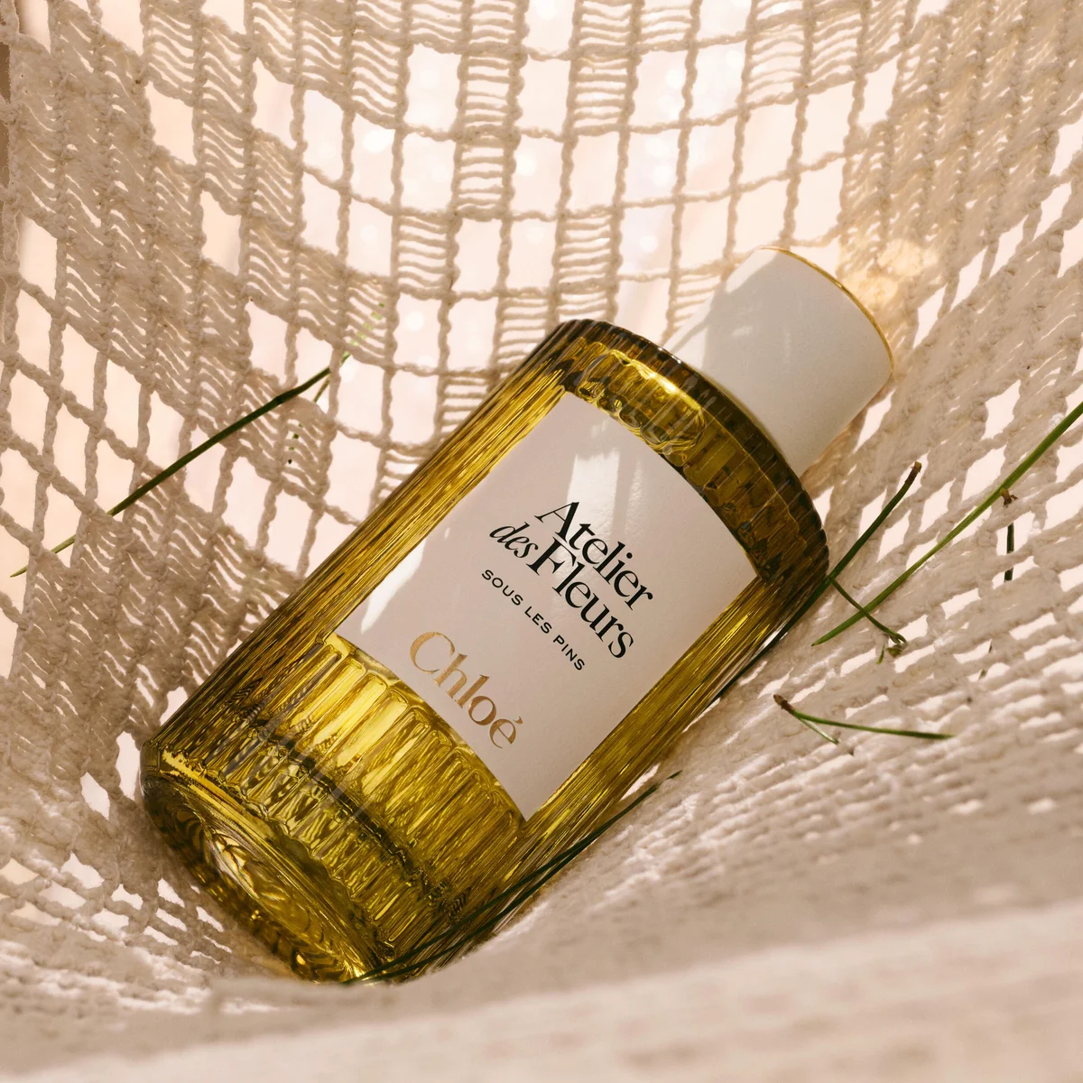 クロエ アトリエ デ フルール スー レ パン オードパルファム 50ml ￥20,790／150ml ￥39,600〈2026年5月28日発売〉