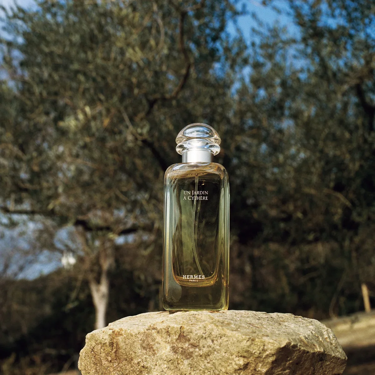 【エルメス】オードトワレ シテールの庭