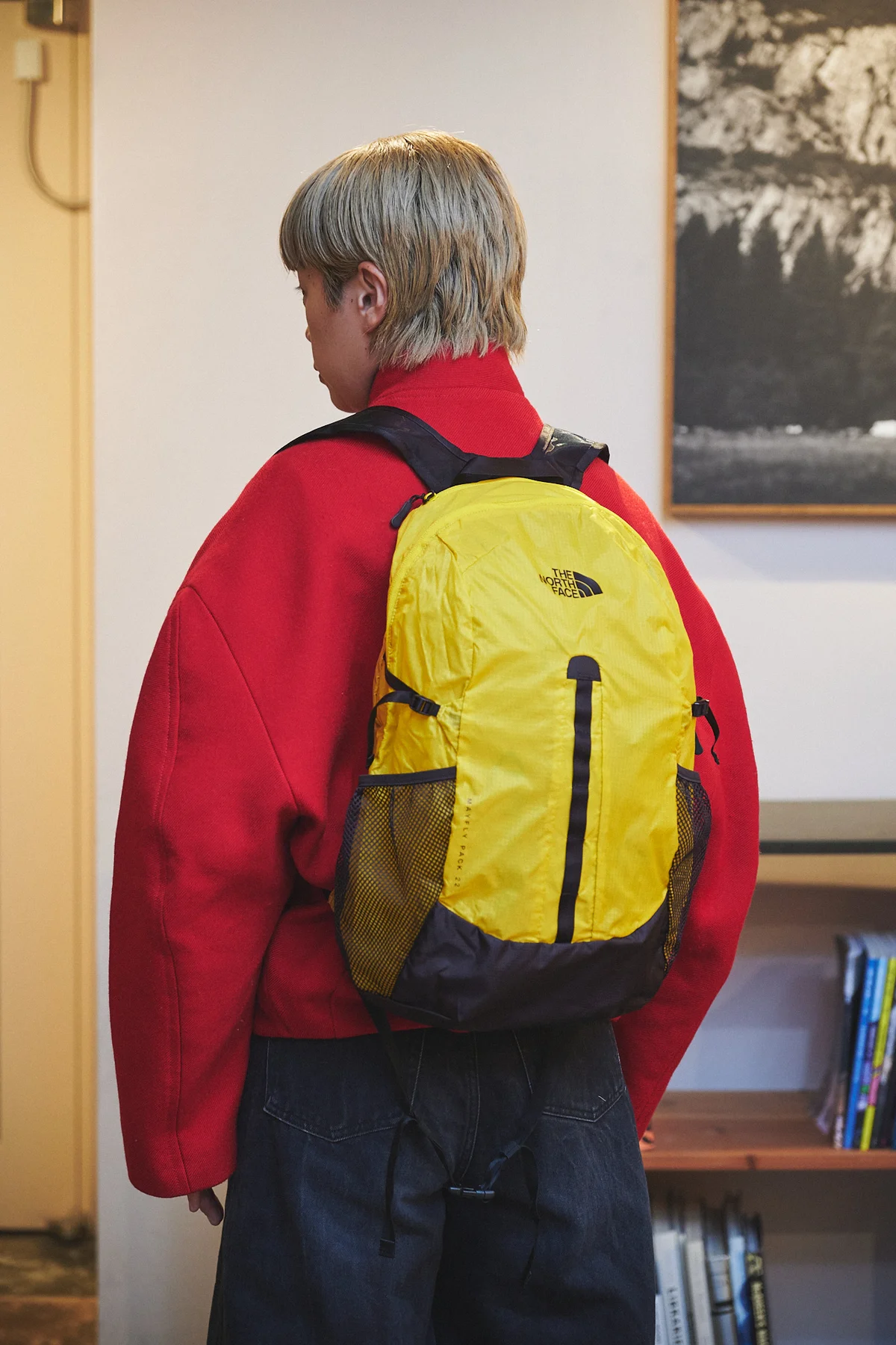 ザ・ノース・フェイス　ポケッタブルリュック