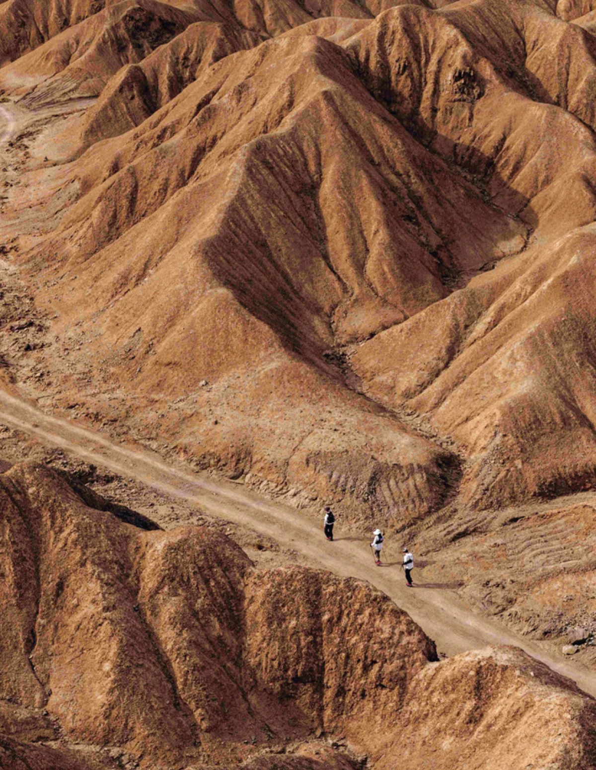 ゴビ砂漠のレース