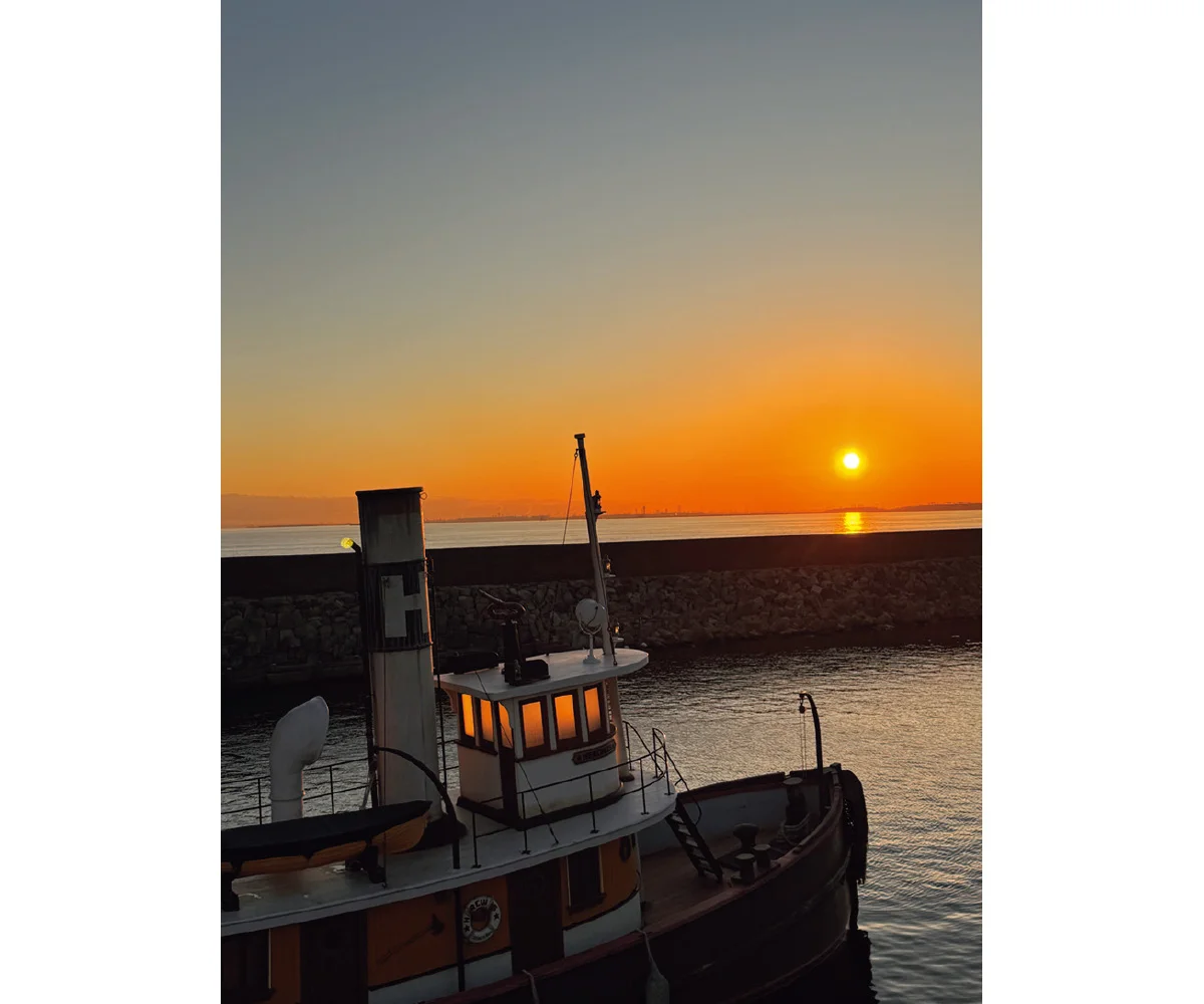 マリウス葉さんが撮影したディズニーシーの夕日