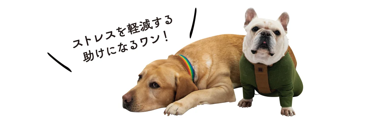 捨て犬が優秀なセラピードッグに。動物介在の画像_2