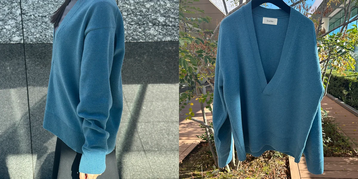 2025年冬、買ってよかった！ 【Ernie Palo（アーニーパロ）】のVネック