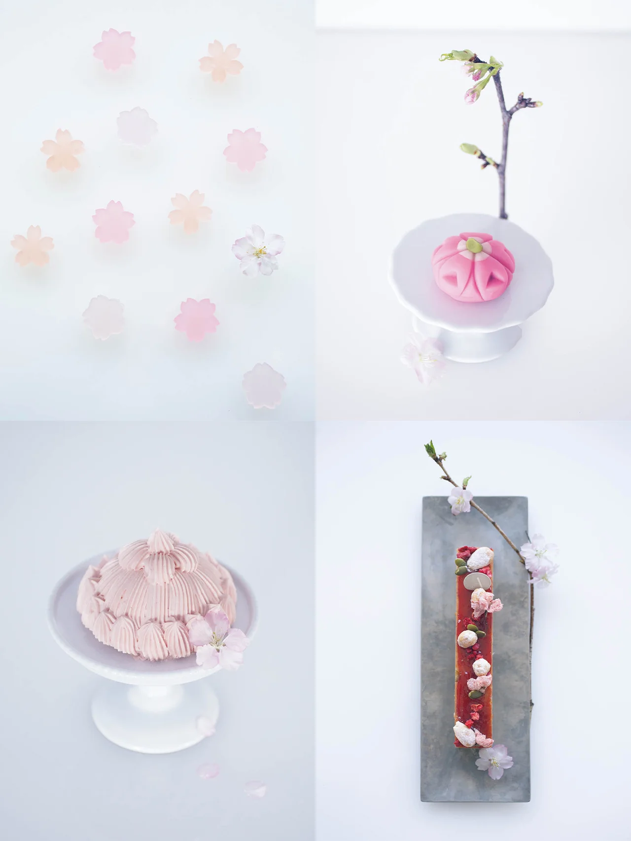 【美しい、花見菓子４選】桜の季節の期間限定スイーツ