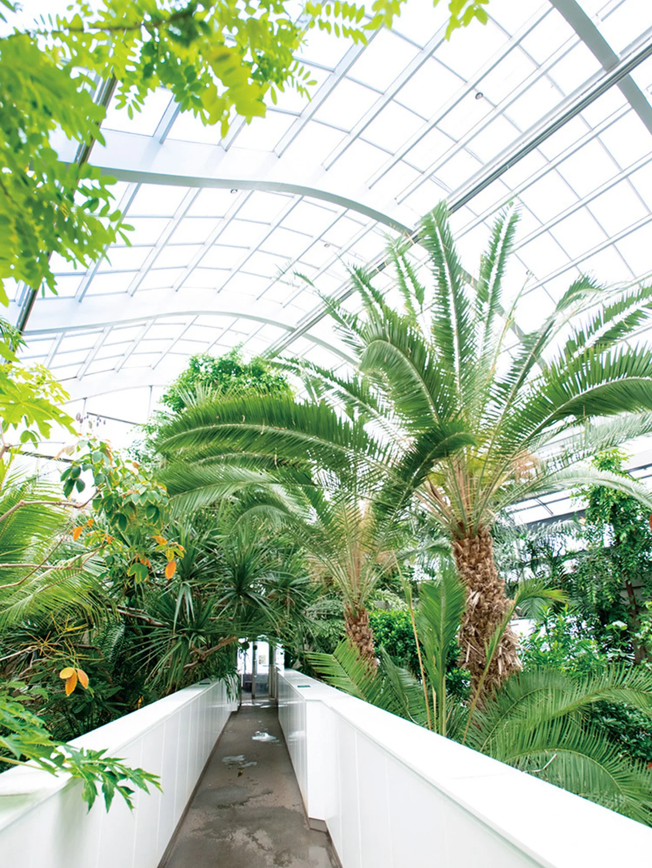 熱帯環境植物館@板橋／Tropical Environmental Plants Museum in Itabashi