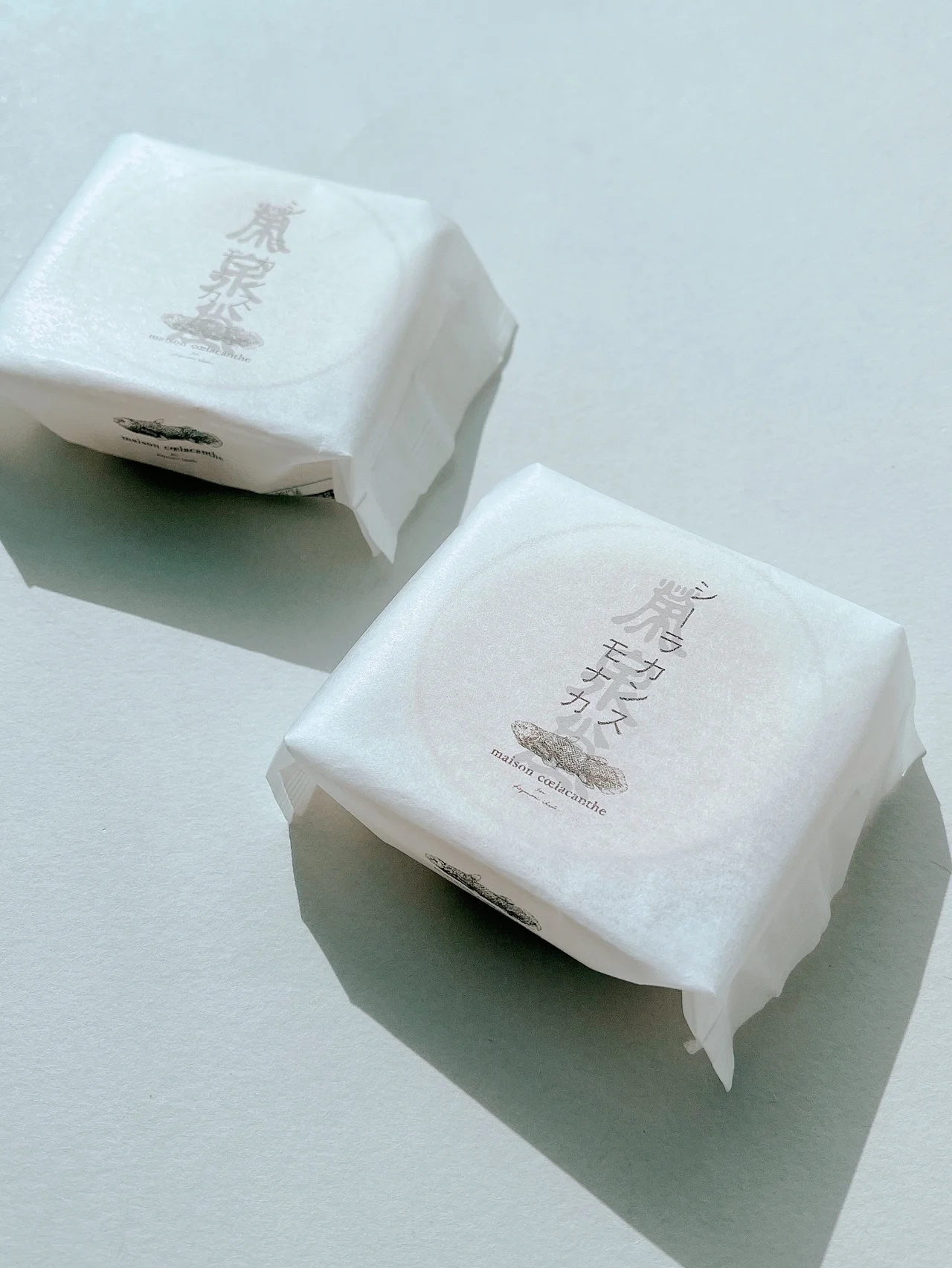 話題の【シーラカンス モナカ】を初実食！