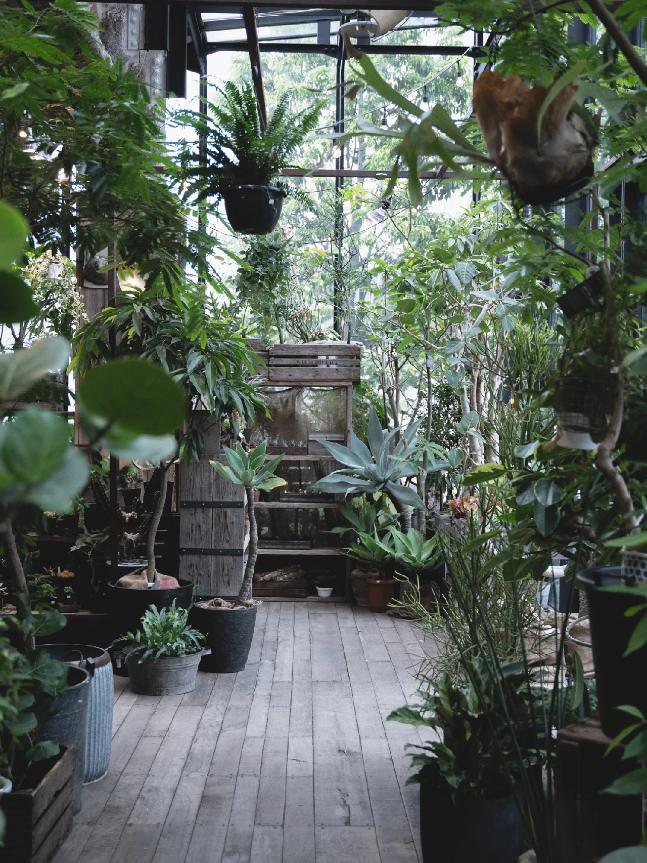 植物を軸にした暮らしを提案！ 注目のグリーン＆インテリアショップ【garage】 の旗艦店が、渋谷スクランブルスクエアに誕生