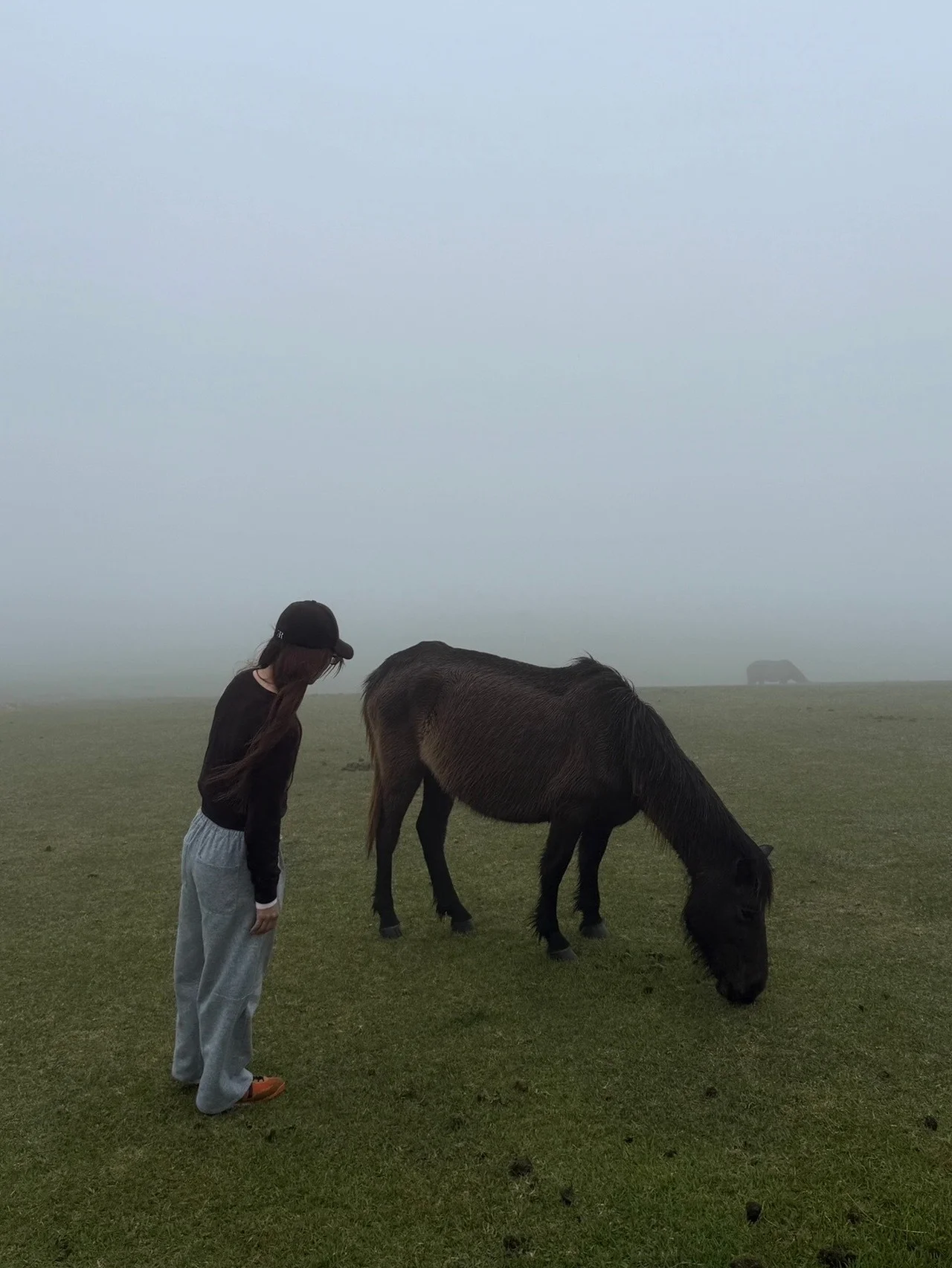 【カルフ】旬なムードを呼び込む、究極の差し色スニーカー「メスタリ」と出合った話