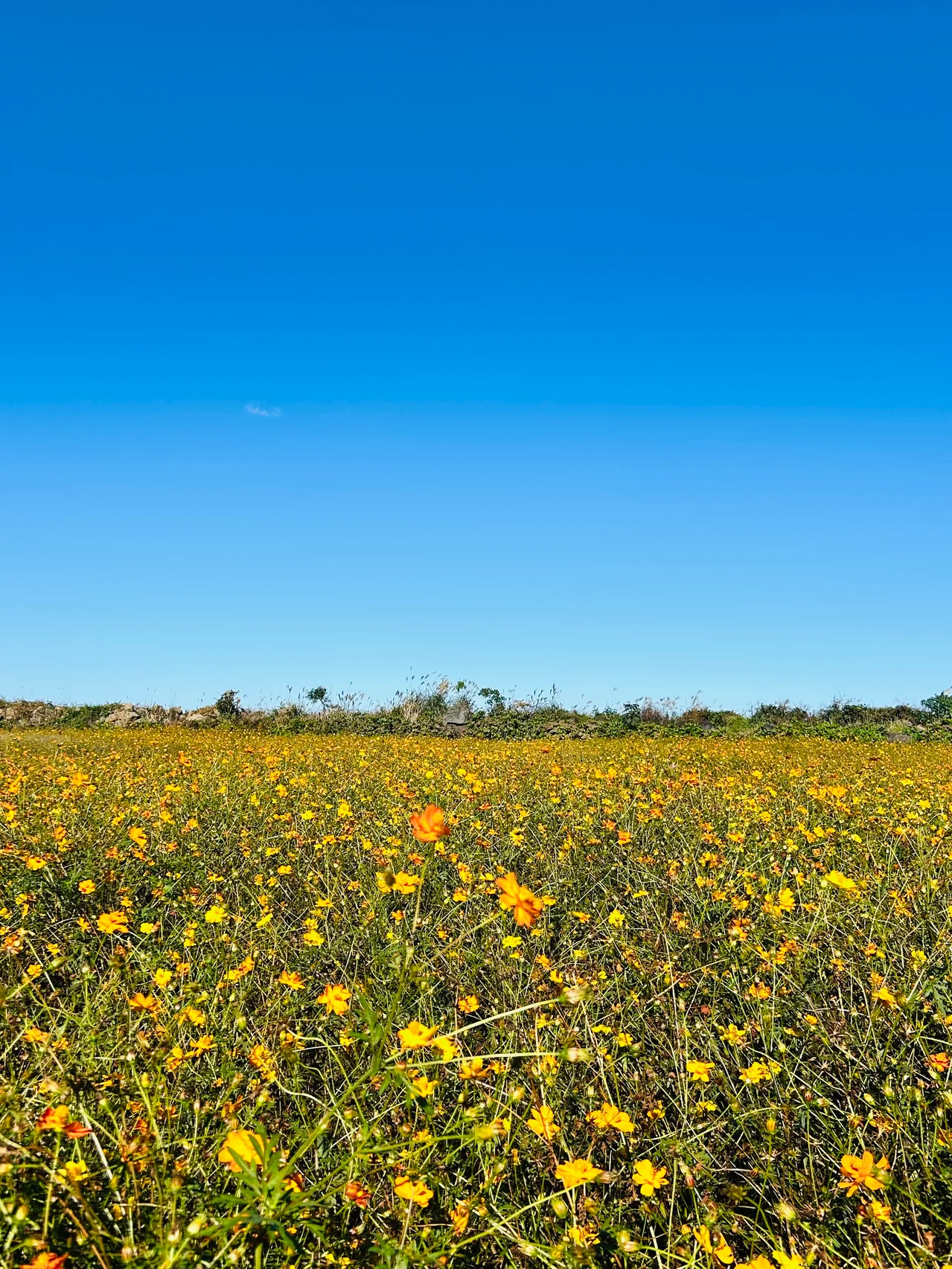 疲れた大人に【済州島旅行】が効く！　絶景＆絶品アドレス