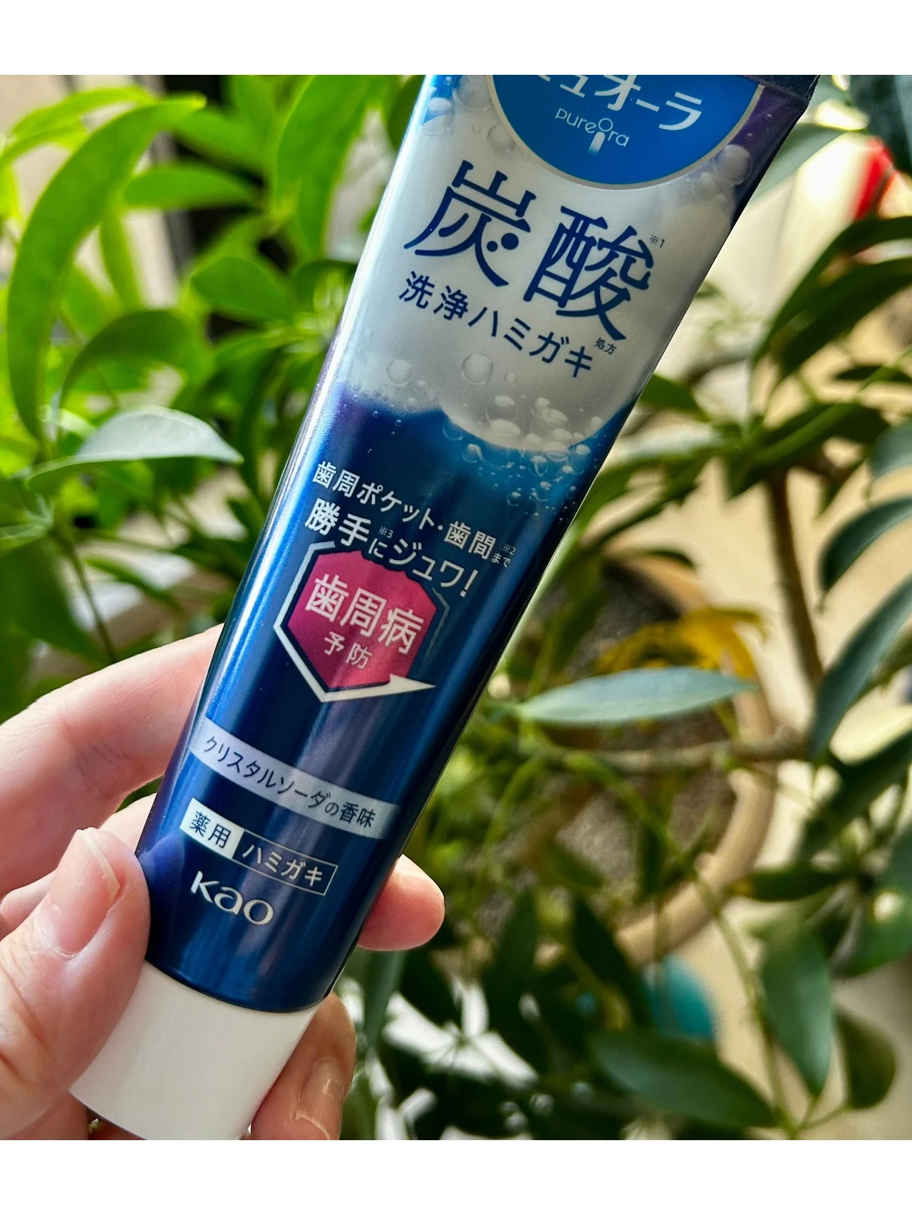 【ピュオーラ】炭酸ハミガキがクセになる！
