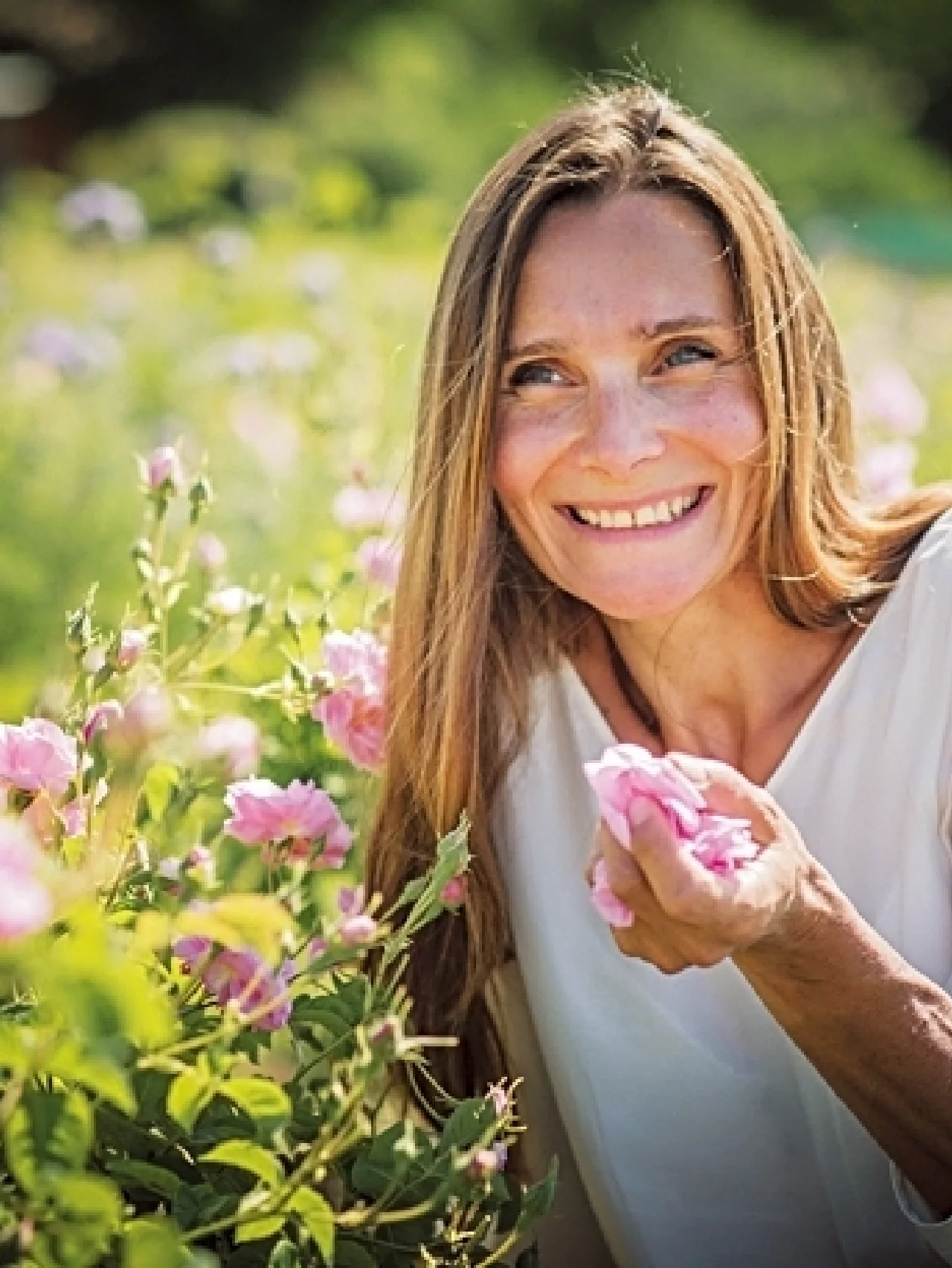 ラ コル ノワールのバラ色の日々