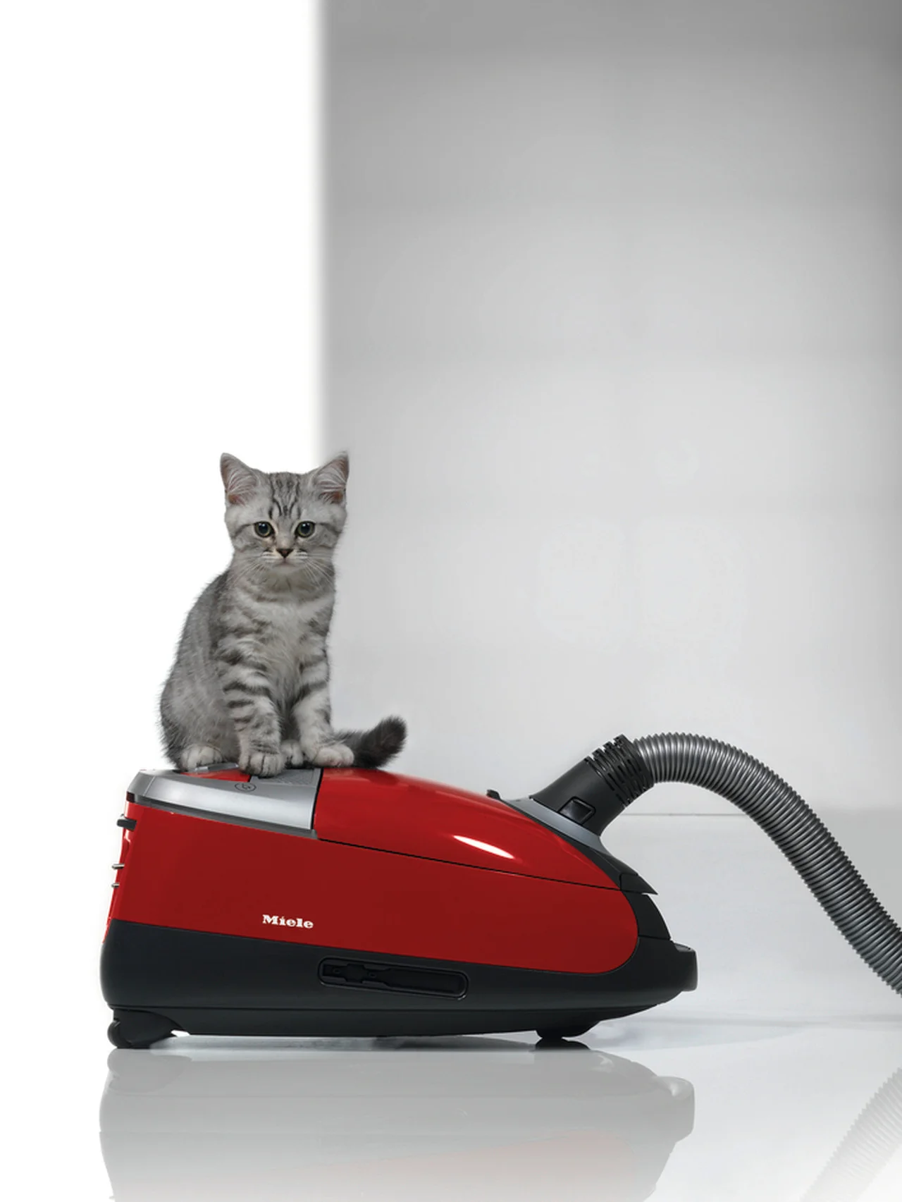 2月22日は猫の日！ 【ミーレ】のペットオーナー向け掃除機で細かな毛や目に見えにくい汚れまでキレイに