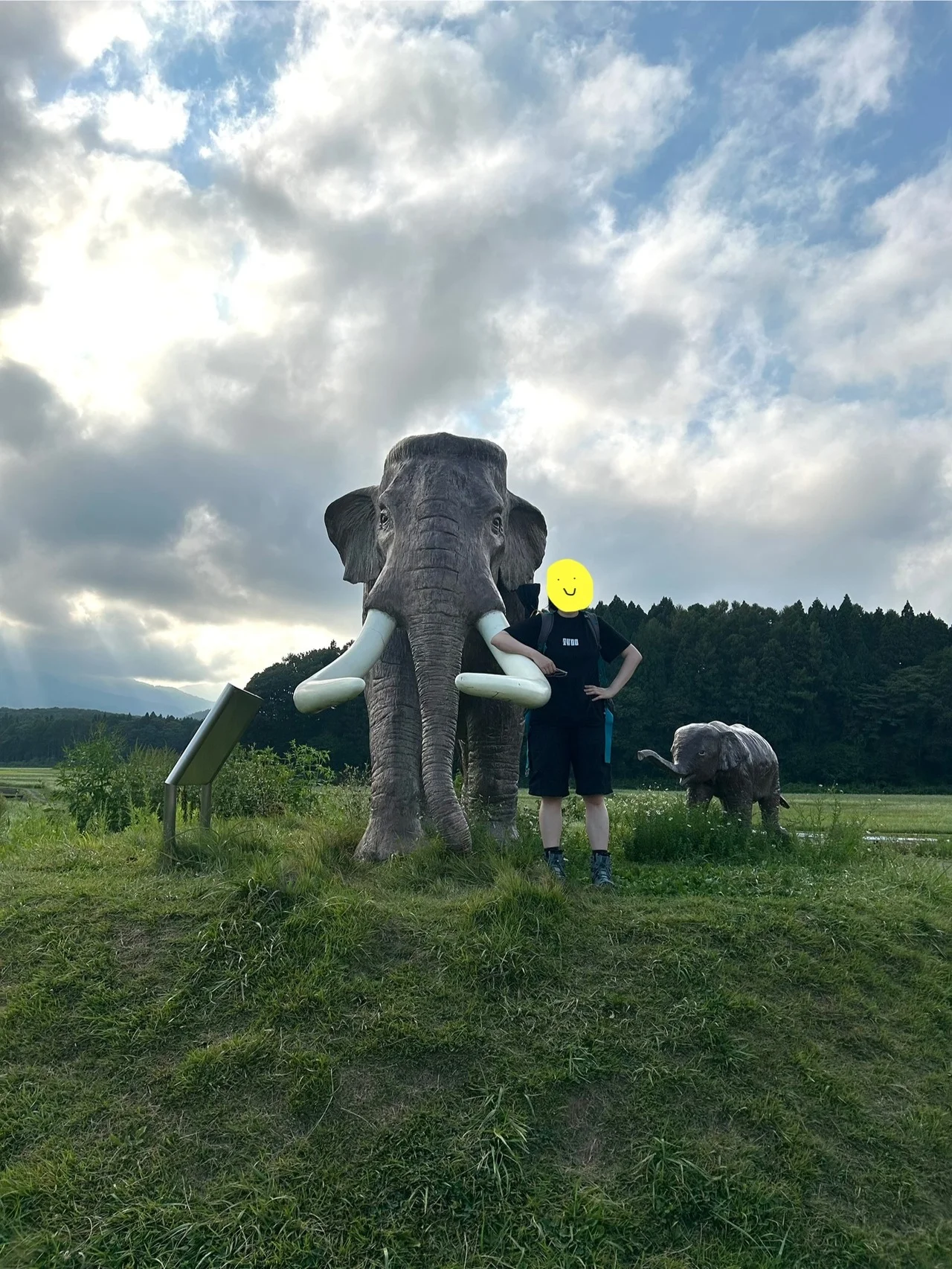 そこにゾウがいるから。【野尻湖】でナウマンゾウに合ってきた