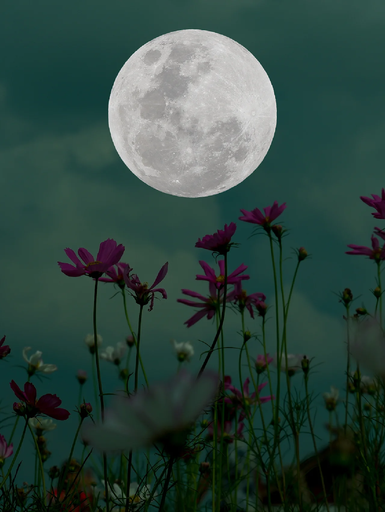 【９月29日】今年最後のスペシャルな満月！ 仲秋の名月×牡羊座満月に向けて、今週したいこと【今週の占い便り９/19～】