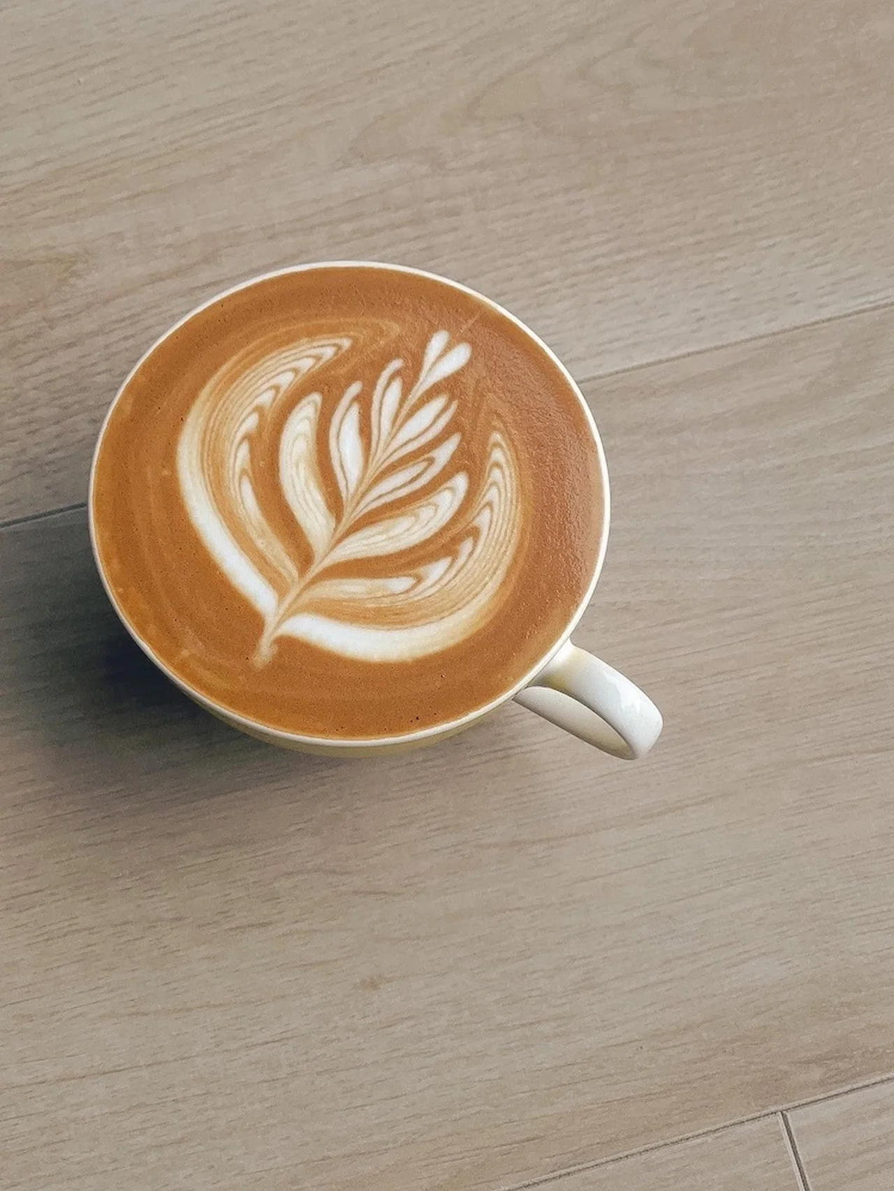 【Vannelli Coffee】の旗艦店が表参道にオープン！ イタリア王者が手がけるコーヒーを堪能