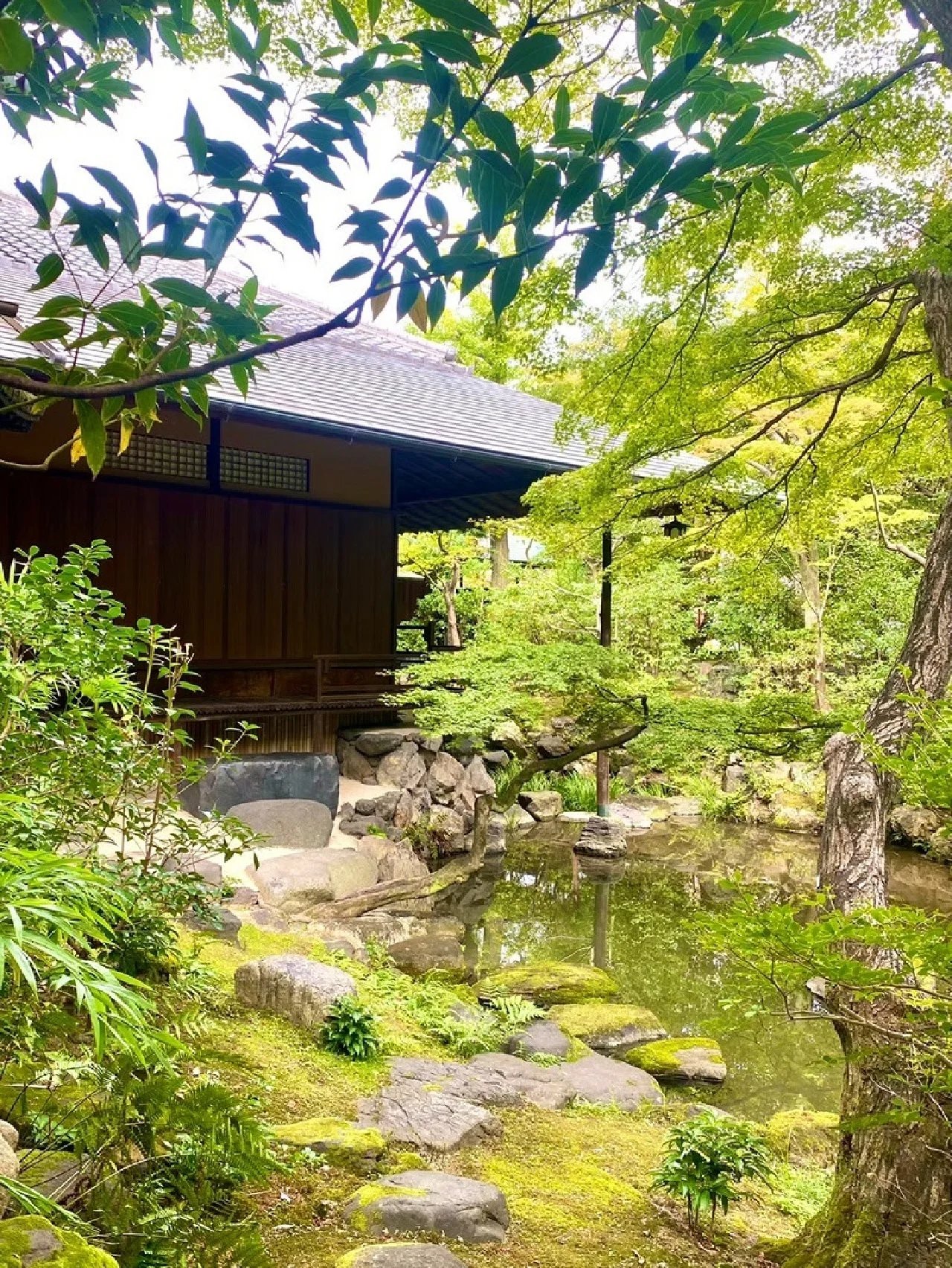 京都で歴史を感じるプライベートなフォトプランを。「廣誠院」に宿坊と食堂をオープン！