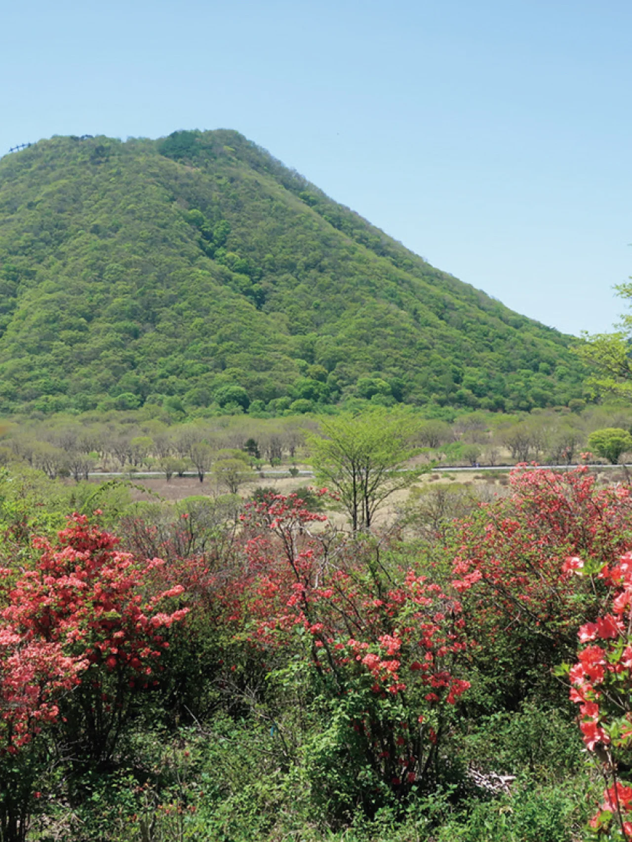 ＂山のプロ＂が選ぶ、春のおすすめ 【低山】登山コース４